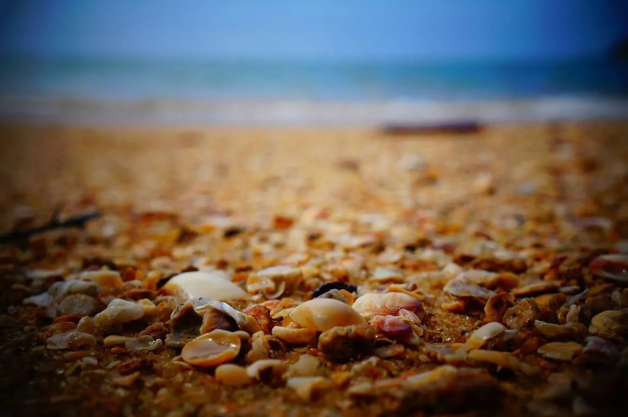 ג'ורג' טאון Sea Lion By The Beach בית אירוח ג'ורג' טאון